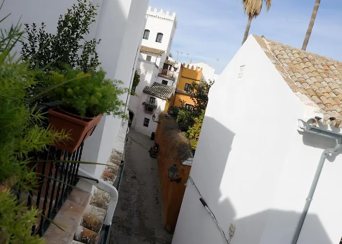 The Wall Of The Alcazar Palace