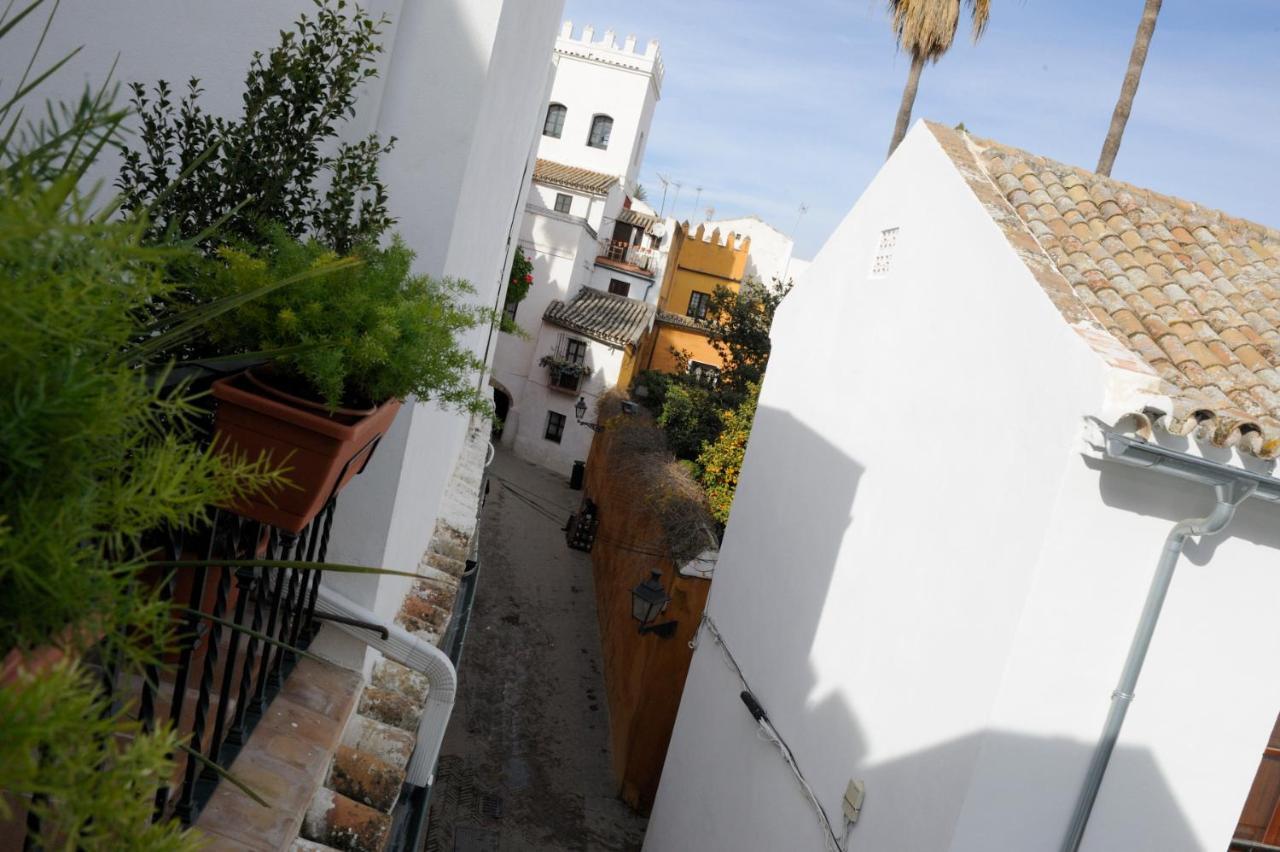 The Of The Alcazar Palace * Sevilla
